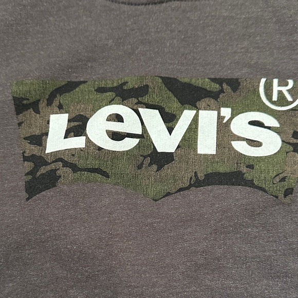 Levi’s Kids Boy Long Sleeve Camo Graphic Pullover Hoodie Charcoal Gray Size L - Picture 4 of 7